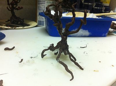 Chocolate Raspberry Tree