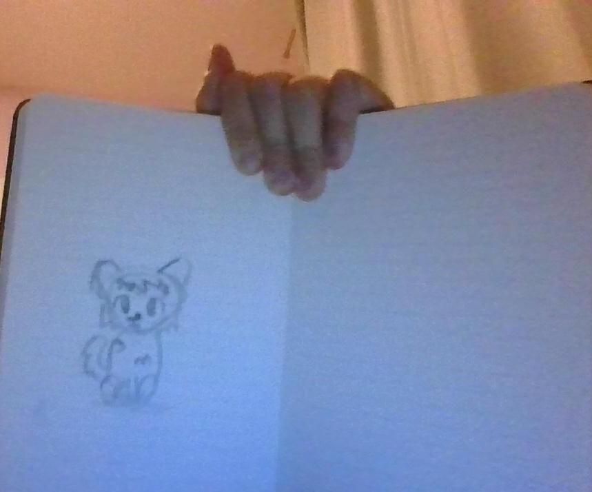 How to Draw a Cute Lil' Cat