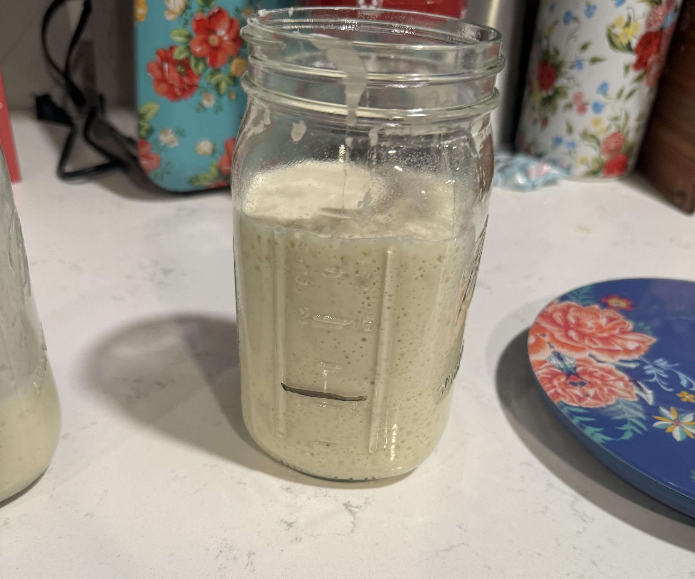 Sour Dough Starter-How to Feed and When to Use