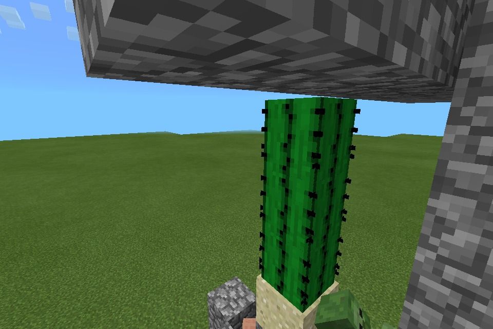 Villager Defence Door !!!