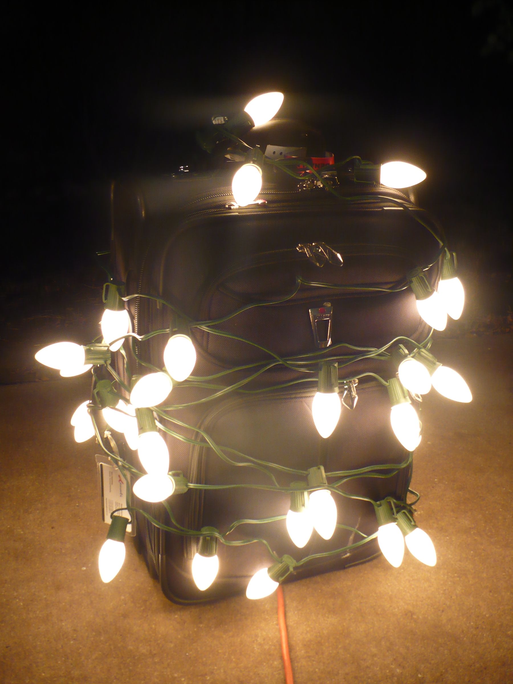 Kill Bedbugs With Your Christmas Lights 7 Steps (with Pictures