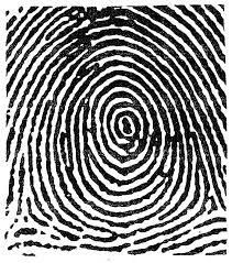 Finger Prints