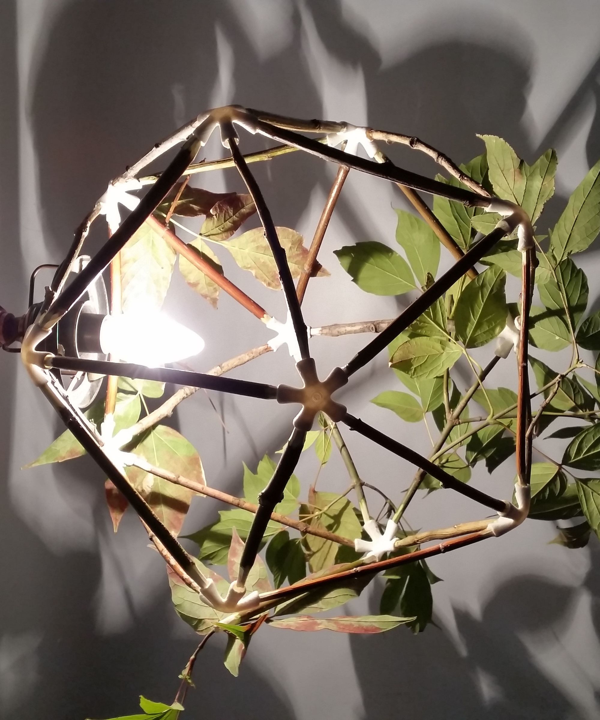 DIY Nature Lamp Shade