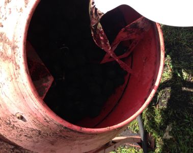 Black Walnut Harvesting & Processing : 11 Steps (with Pictures ...