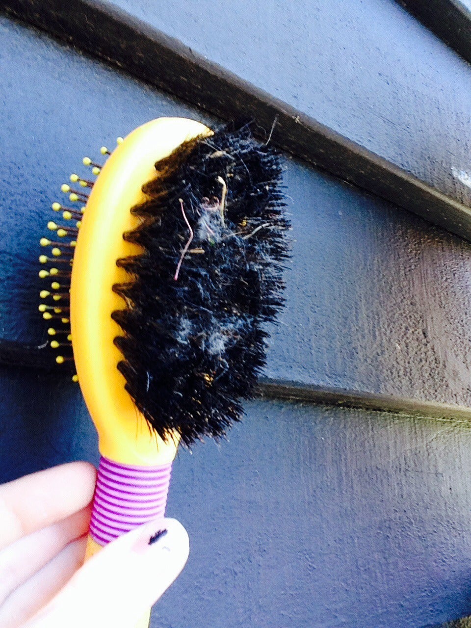 How to Brush a Rabbit! 3 Steps Instructables