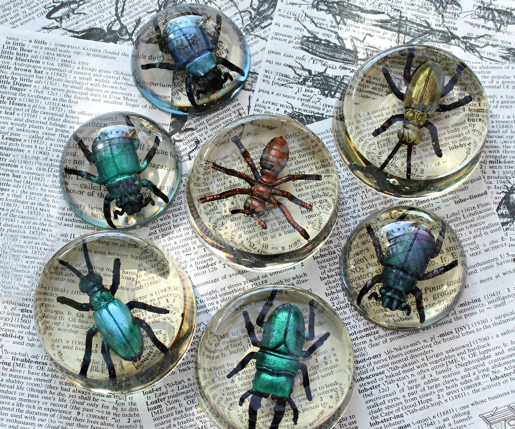 Faux Bugs in Resin