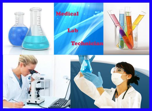 Things That You Should Know Before Becoming a Medical Laboratory Technician