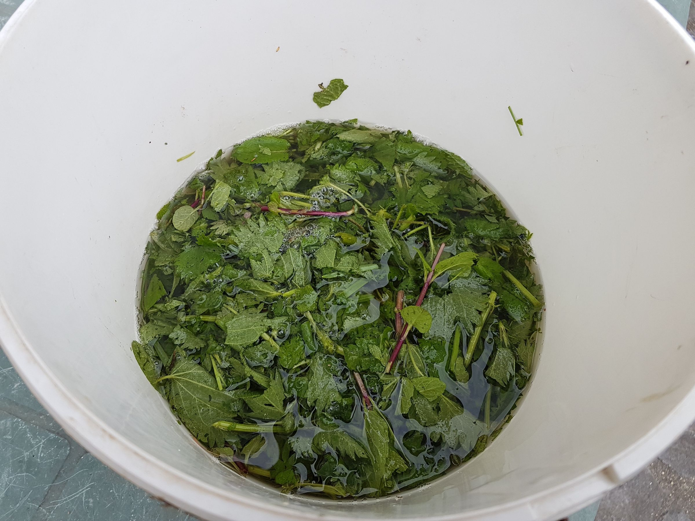 Organic Care of Your Garden Manure, Maceration and Decoction (incl