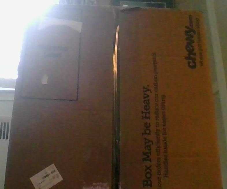 How to Upcycle a Box Into a Cardboard Safe (easy Way)