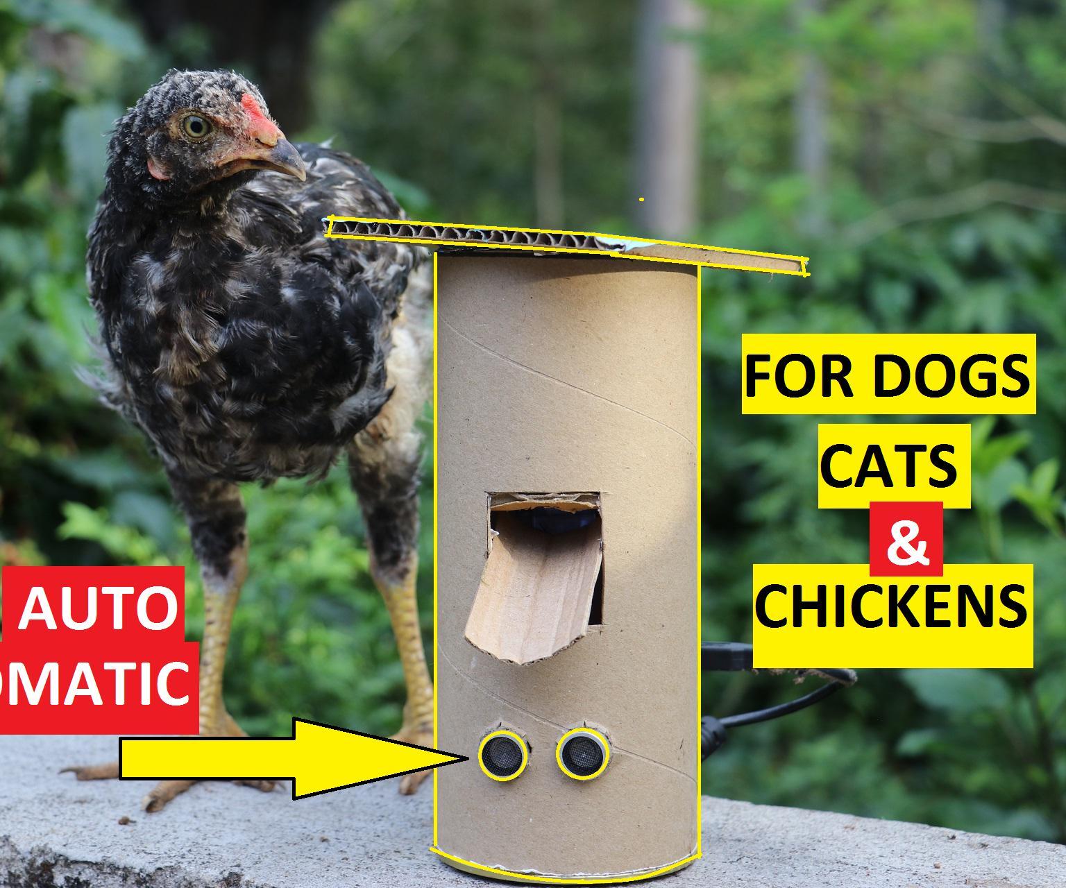 Automatic Food Dispenser From Arduino 8 Steps (with Pictures