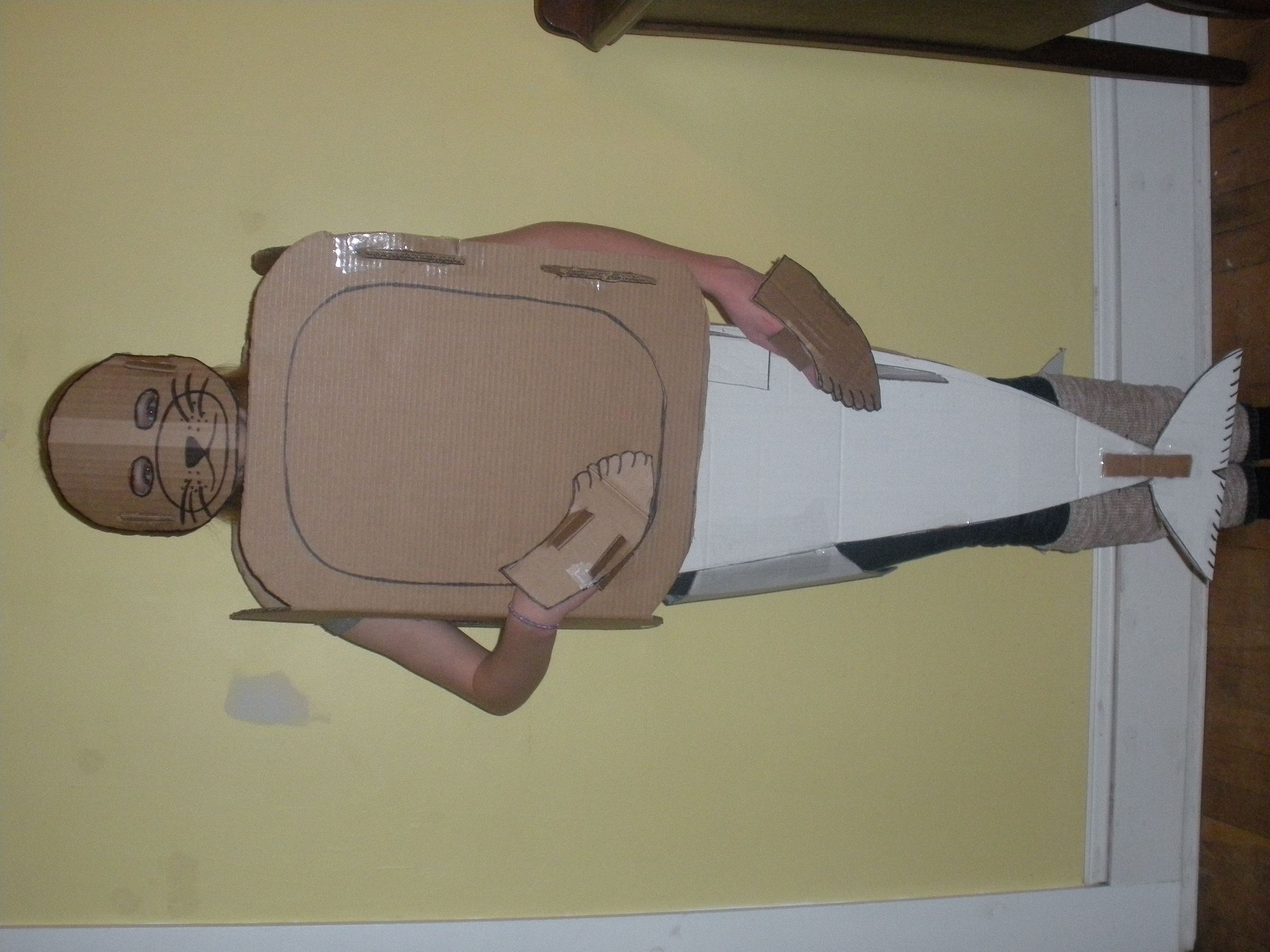 Cardboard Seal Costume
