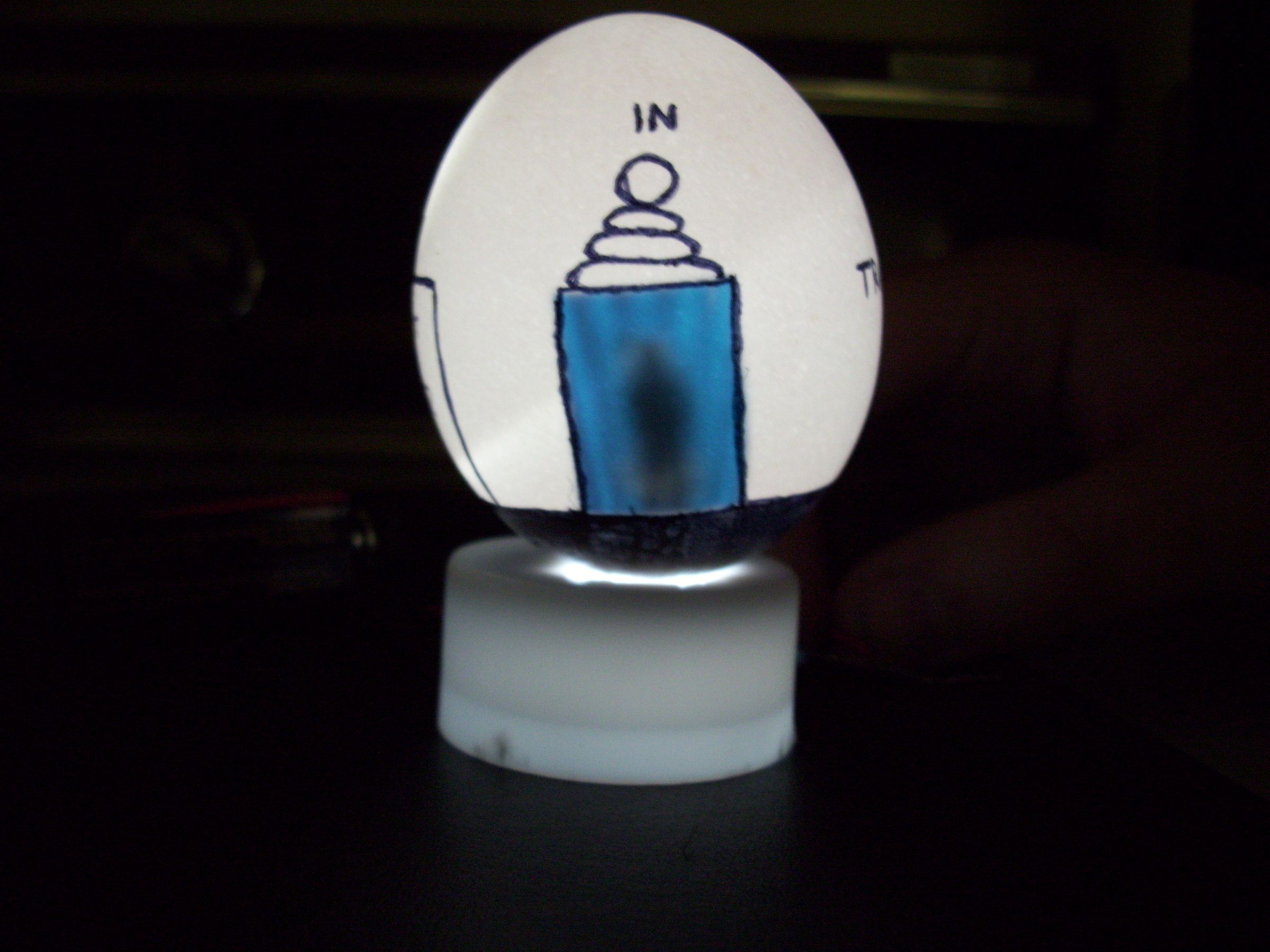 Shadow Egg