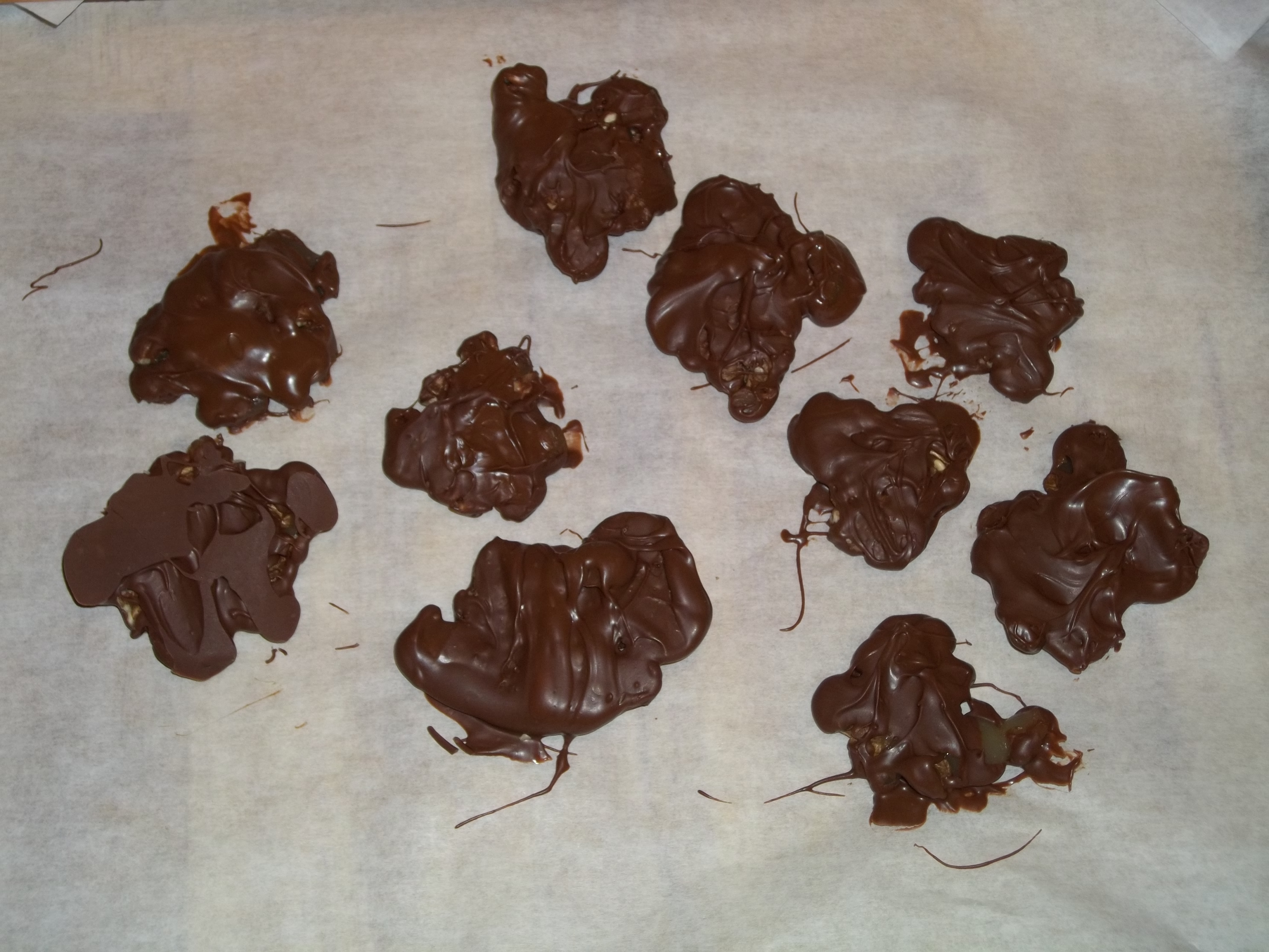 Chocolate Tortoise (cousin to Chocolate Turtles)