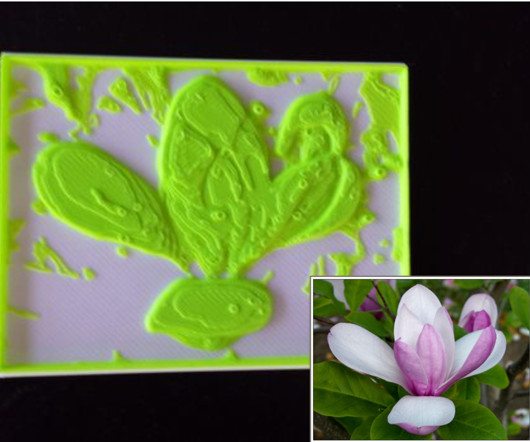 Dual Color 3d Printed Image