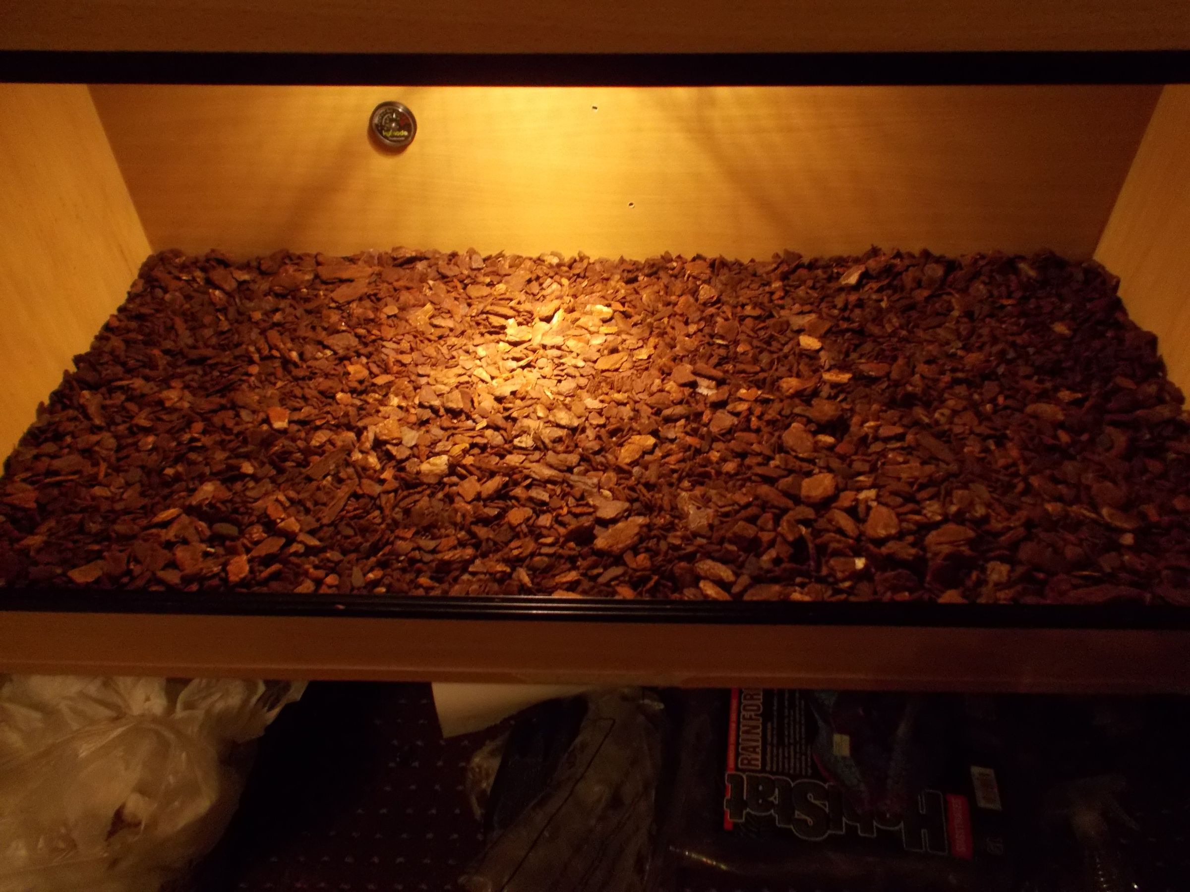 How to Setup a Snake Viv 13 Steps Instructables