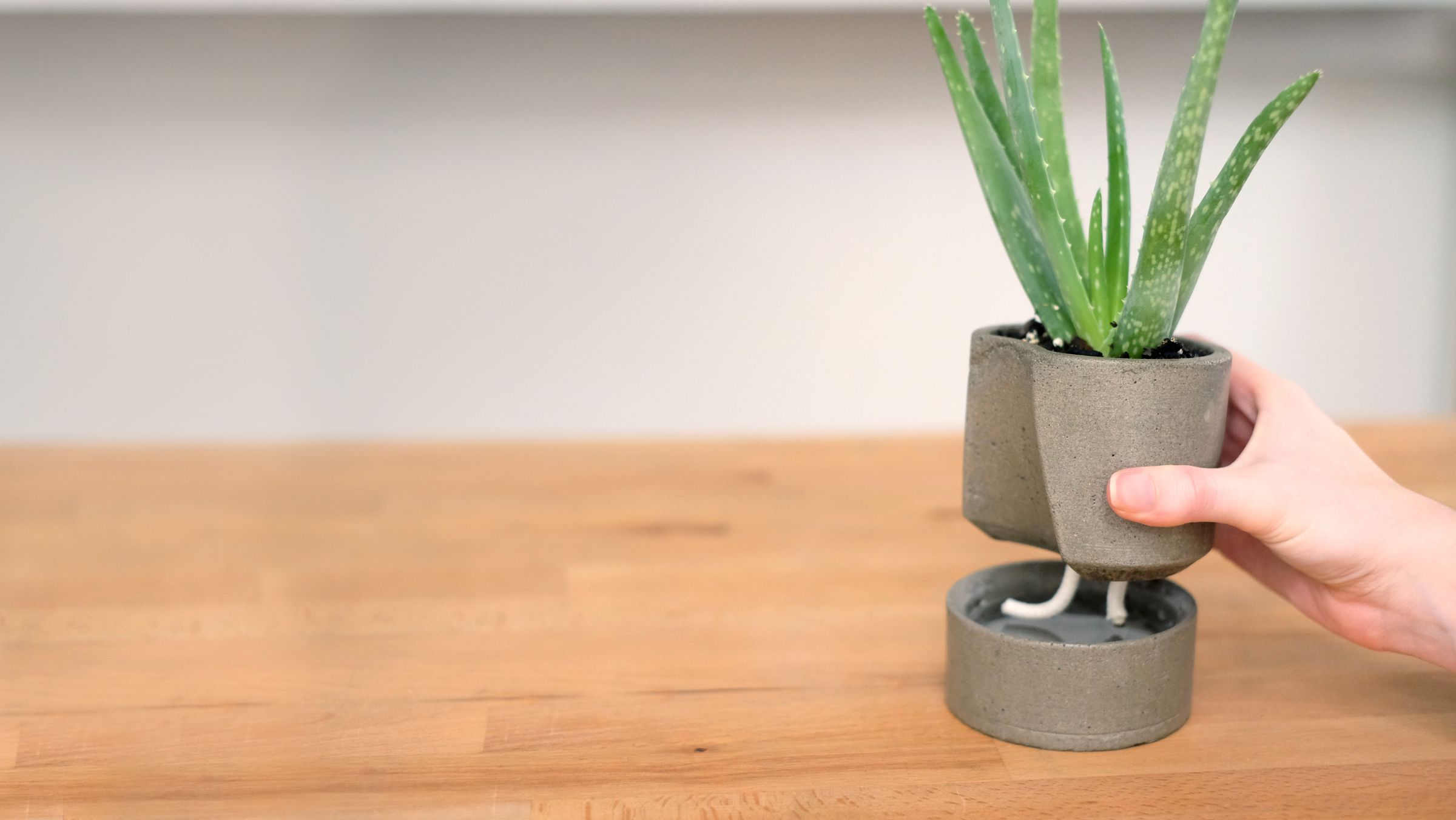 Self Watering Concrete Planter : 6 Steps (with Pictures) - Instructables