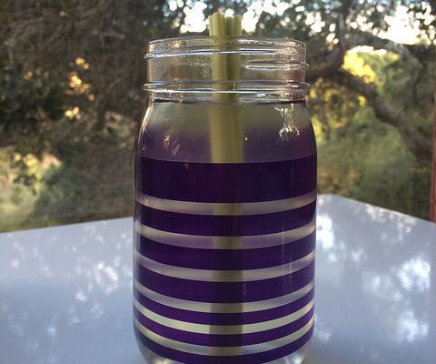 Corn Milk - Cooling Your Summer Time 