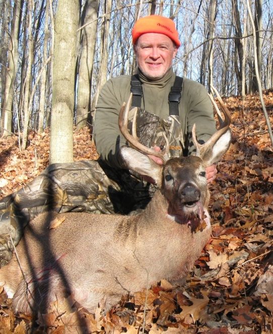 Whitetail Deer Shoulder Mount