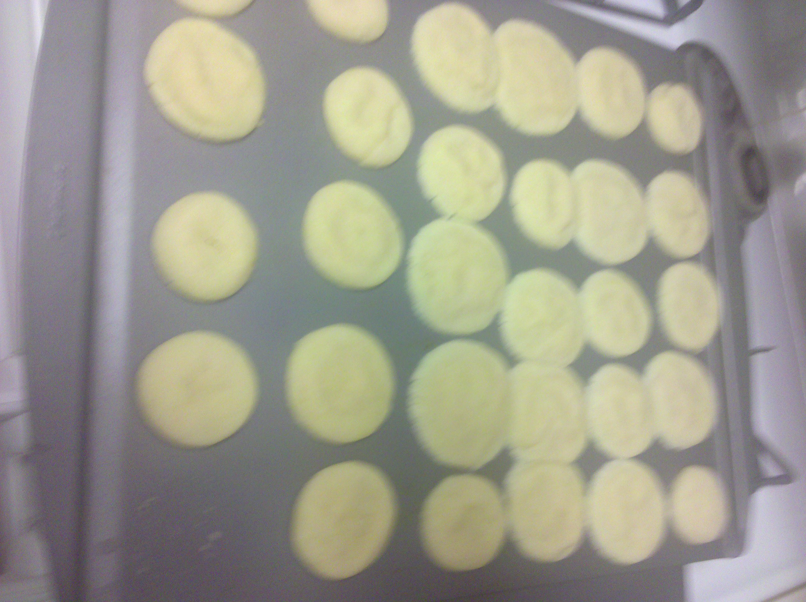 Nane Shirini (Persian Sugar Cookies)