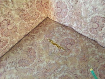 DIY Sofa Slip Covers - the Complete Know How