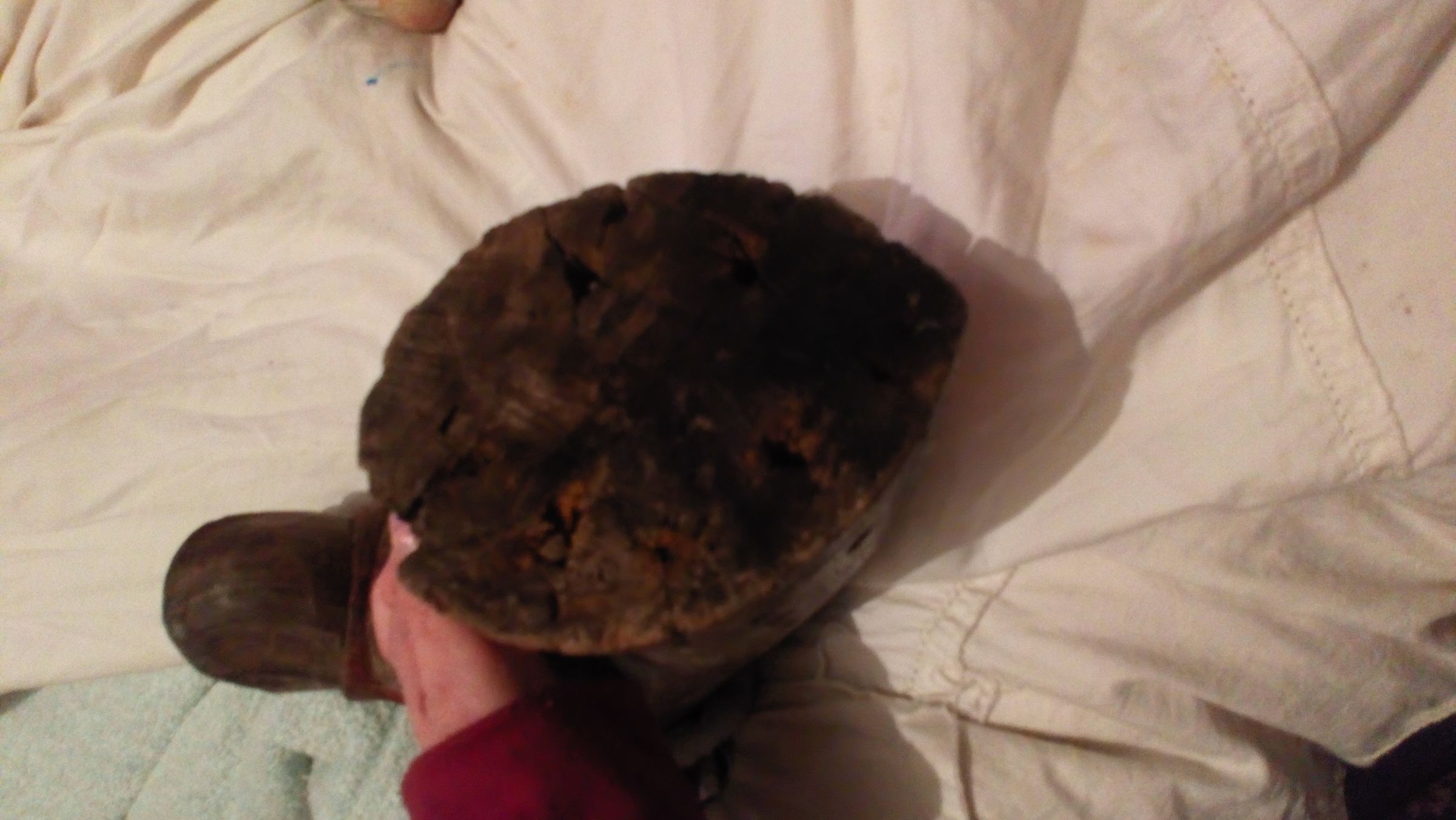 Wood Sculpture Restoration 7 Steps Instructables