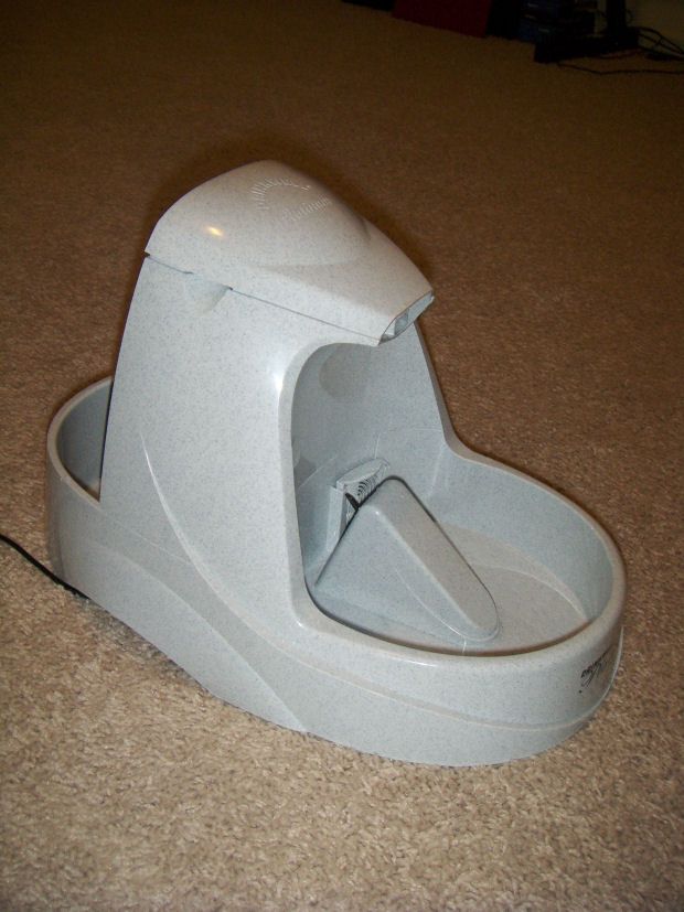 Motion Detector Cat Fountain 6 Steps Instructables