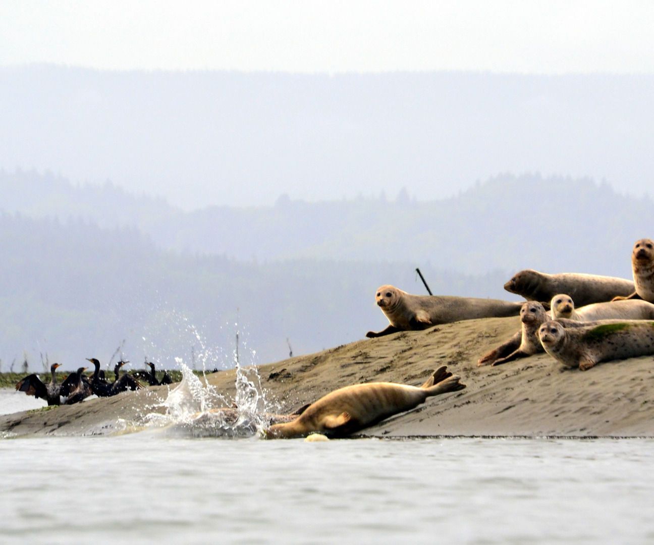 Battling Nature Deficit Disorder* With a Camera