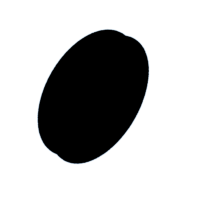 download {{ file.name }}