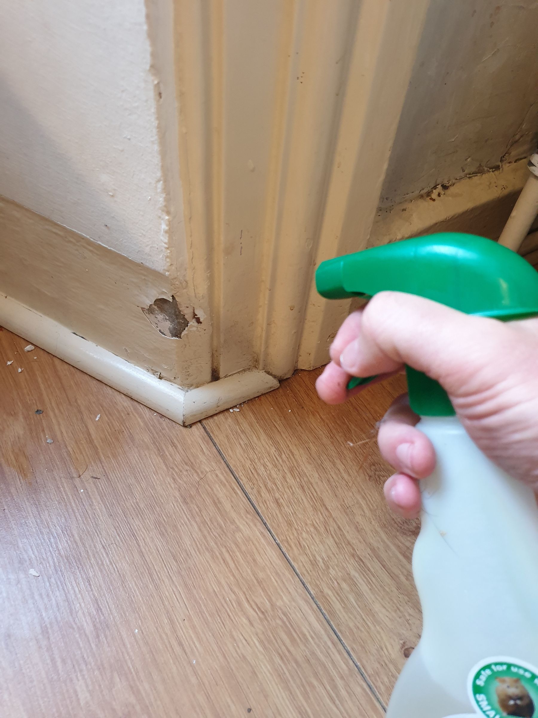 How to Stop a Puppy Chewing Wood and Cables 3 Steps Instructables