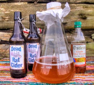 Make Apple Cider Vinegar Recipe