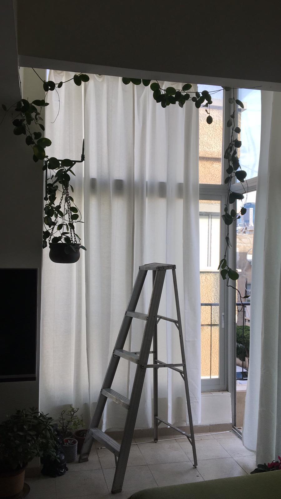 I Left My Parents' House - Accessory Your First Apartment