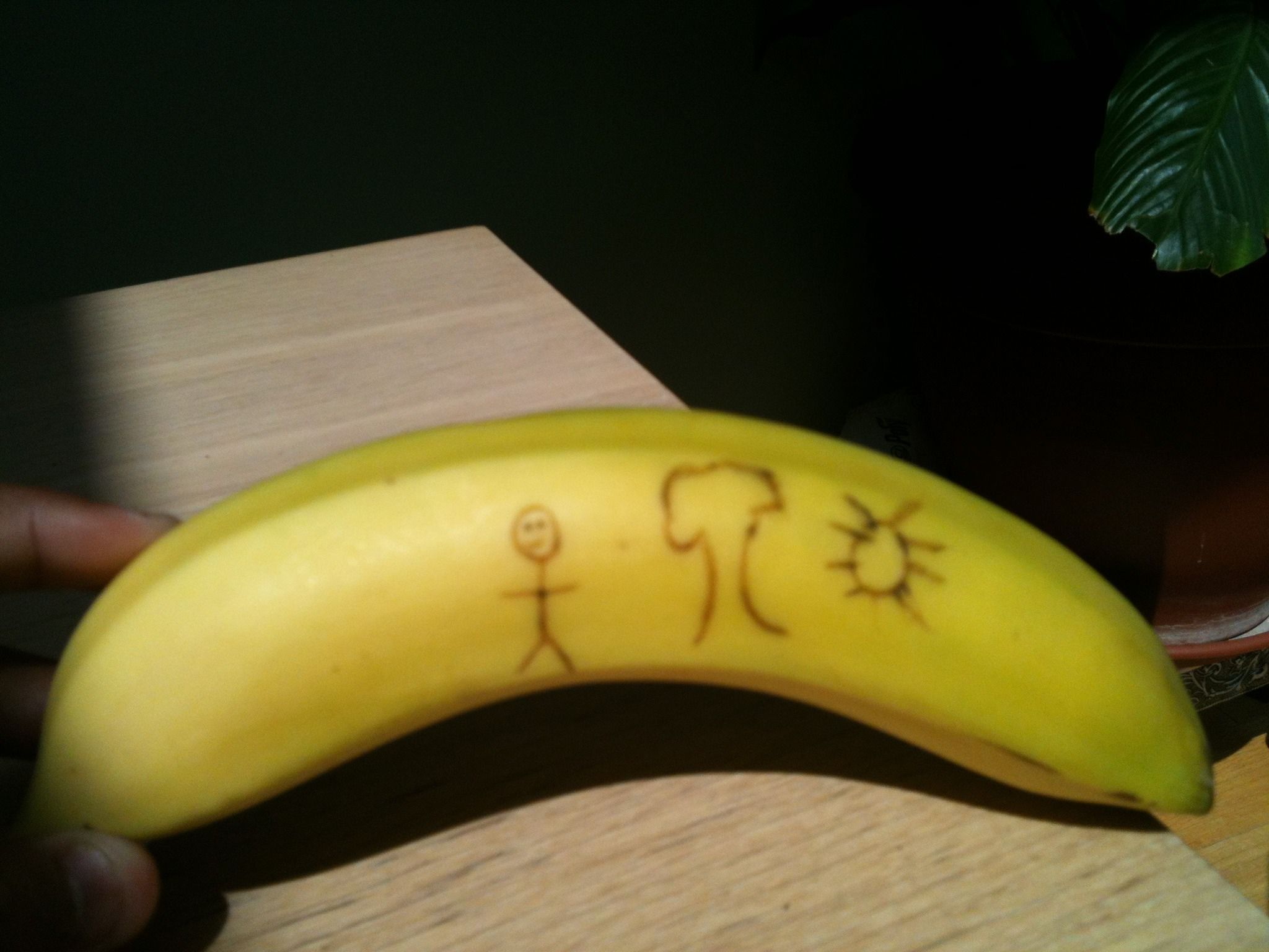 Banana Drawings