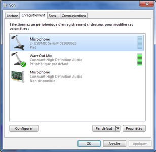 Plugging in and Setting Up the Microphones