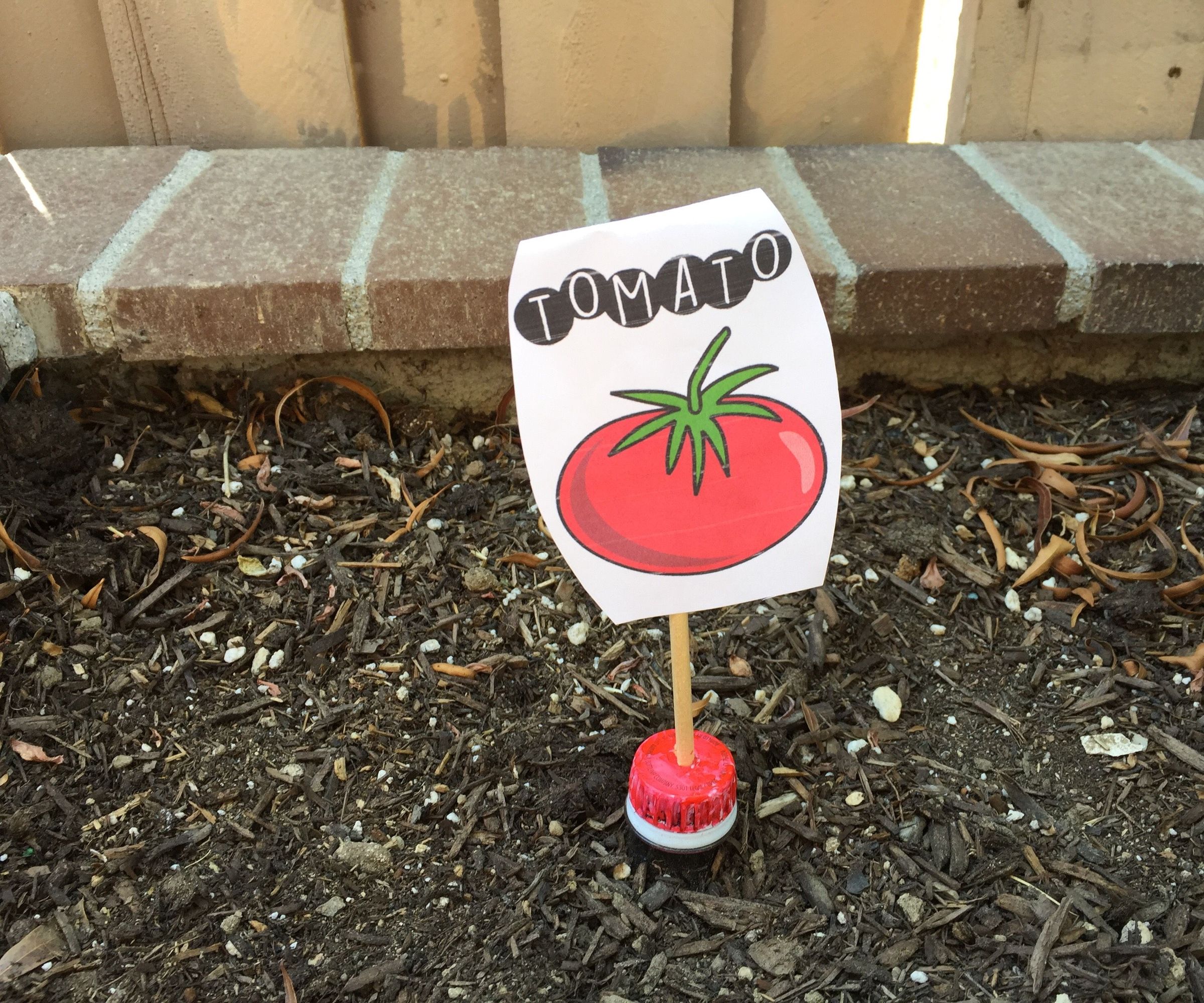 Hidden Plastic Bottle Watering System