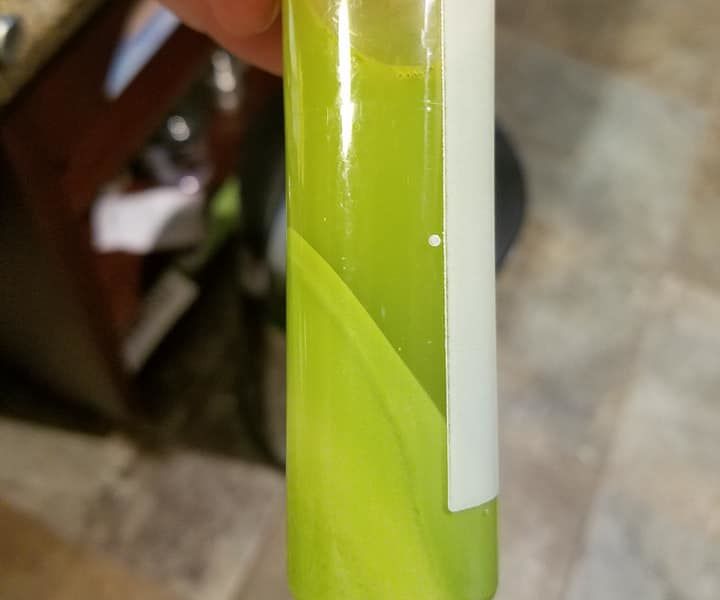 Imagine Whirled Peas (Pea Sorbet Using a Centrifuge)