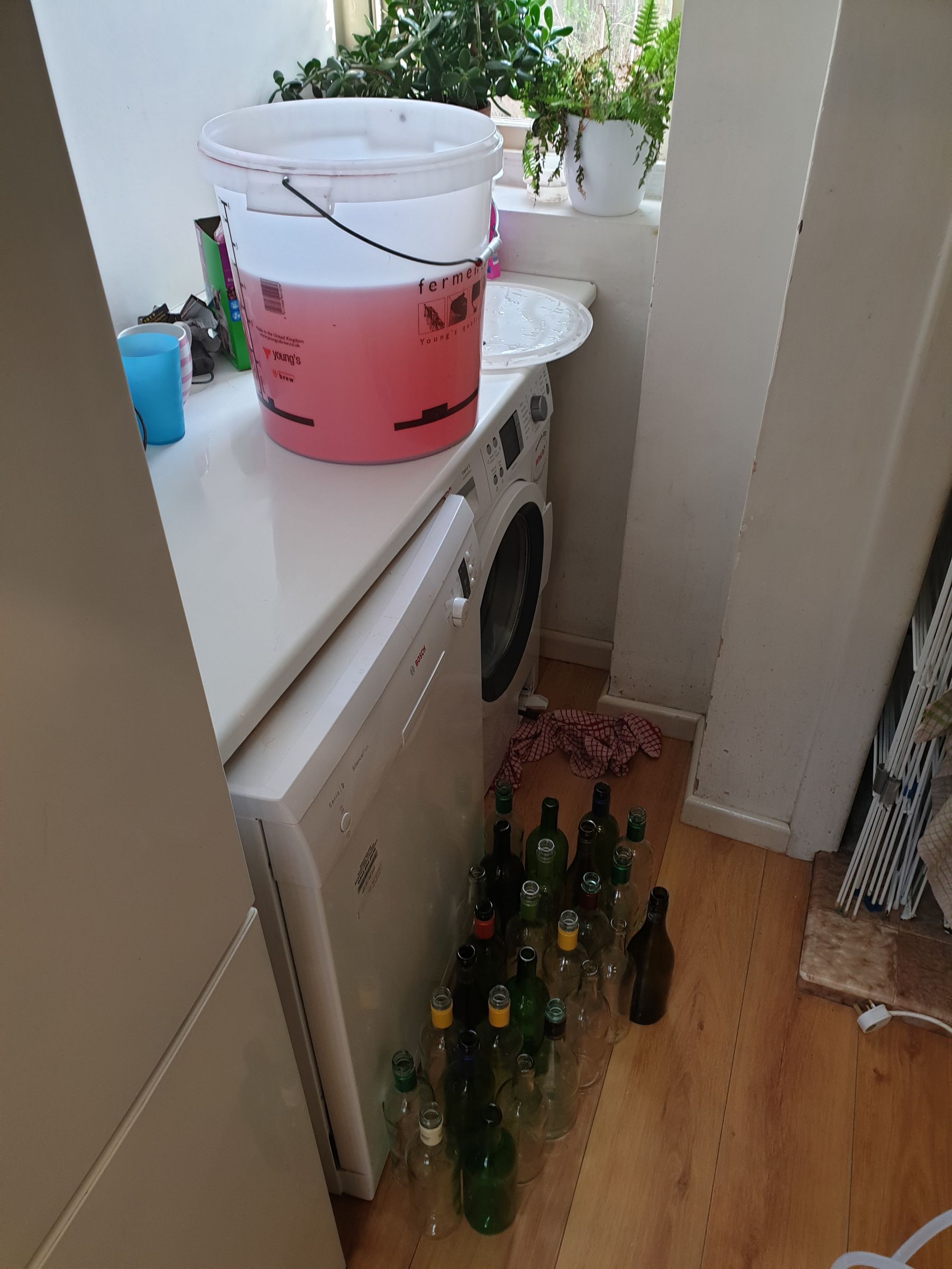 How to Make Your Own Wine From Grapes at Home 20 Steps (with Pictures