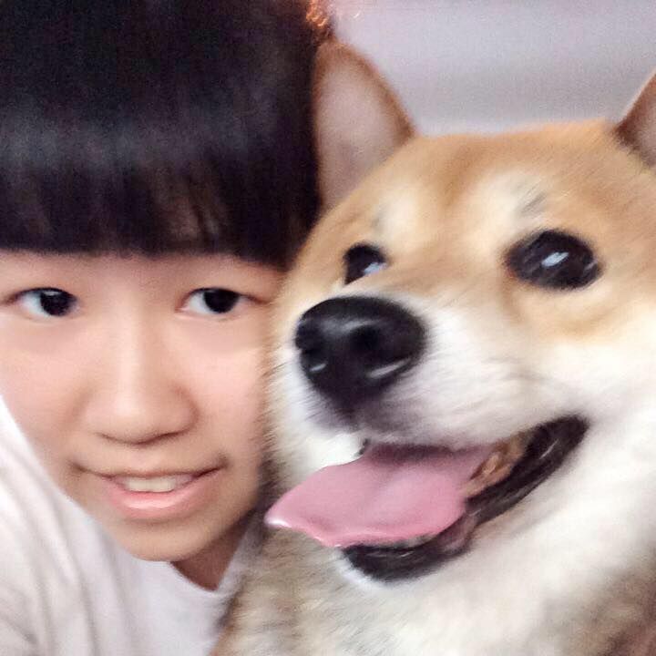 宜昕林