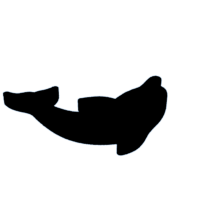 download {{ file.name }}