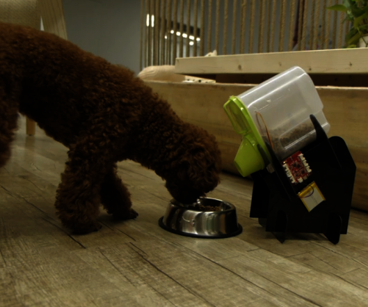 Make a Cloud Control Pet Feeder 