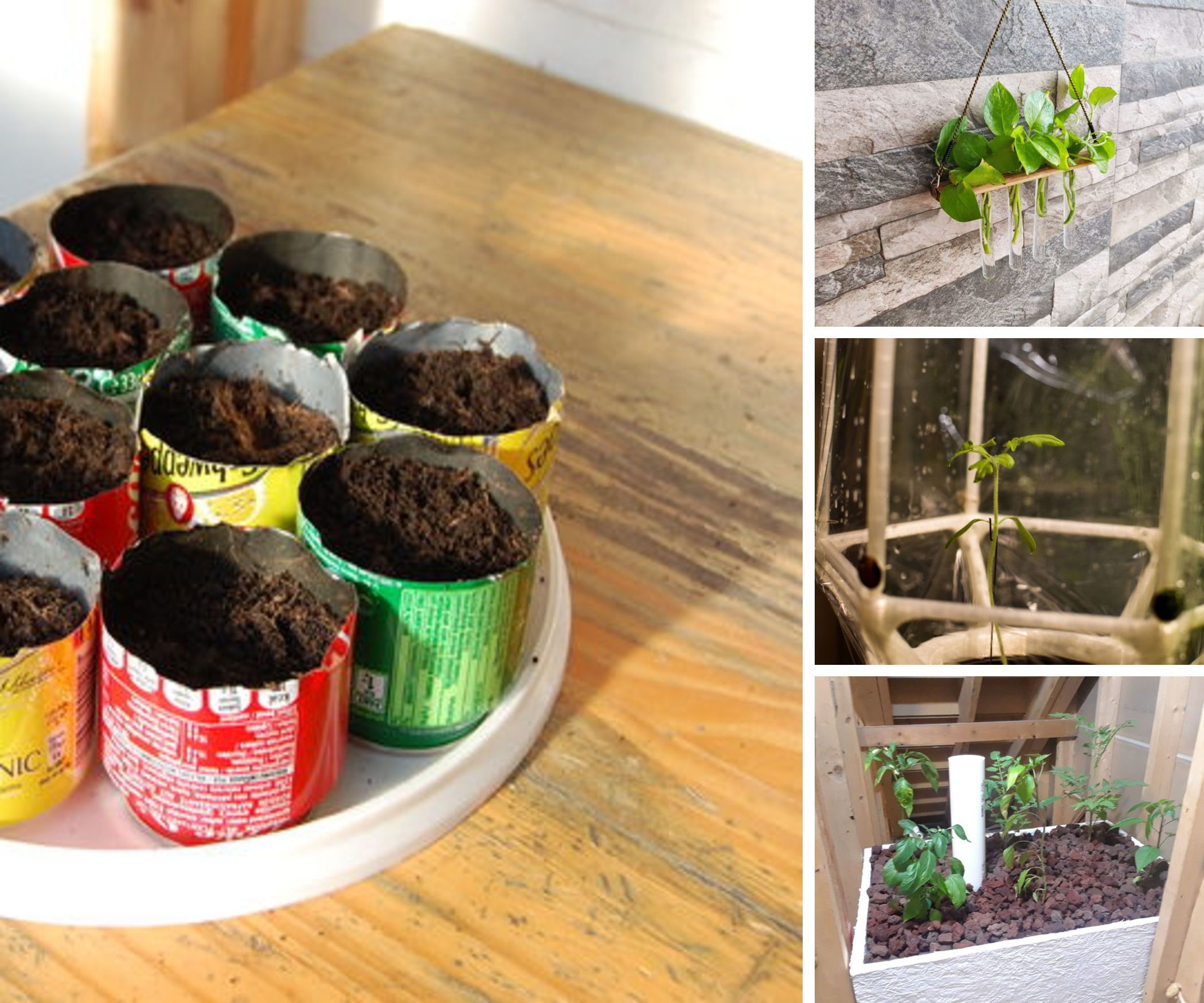 Gardening