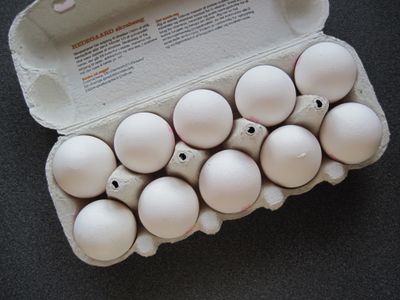 Prepping the Egg Shells