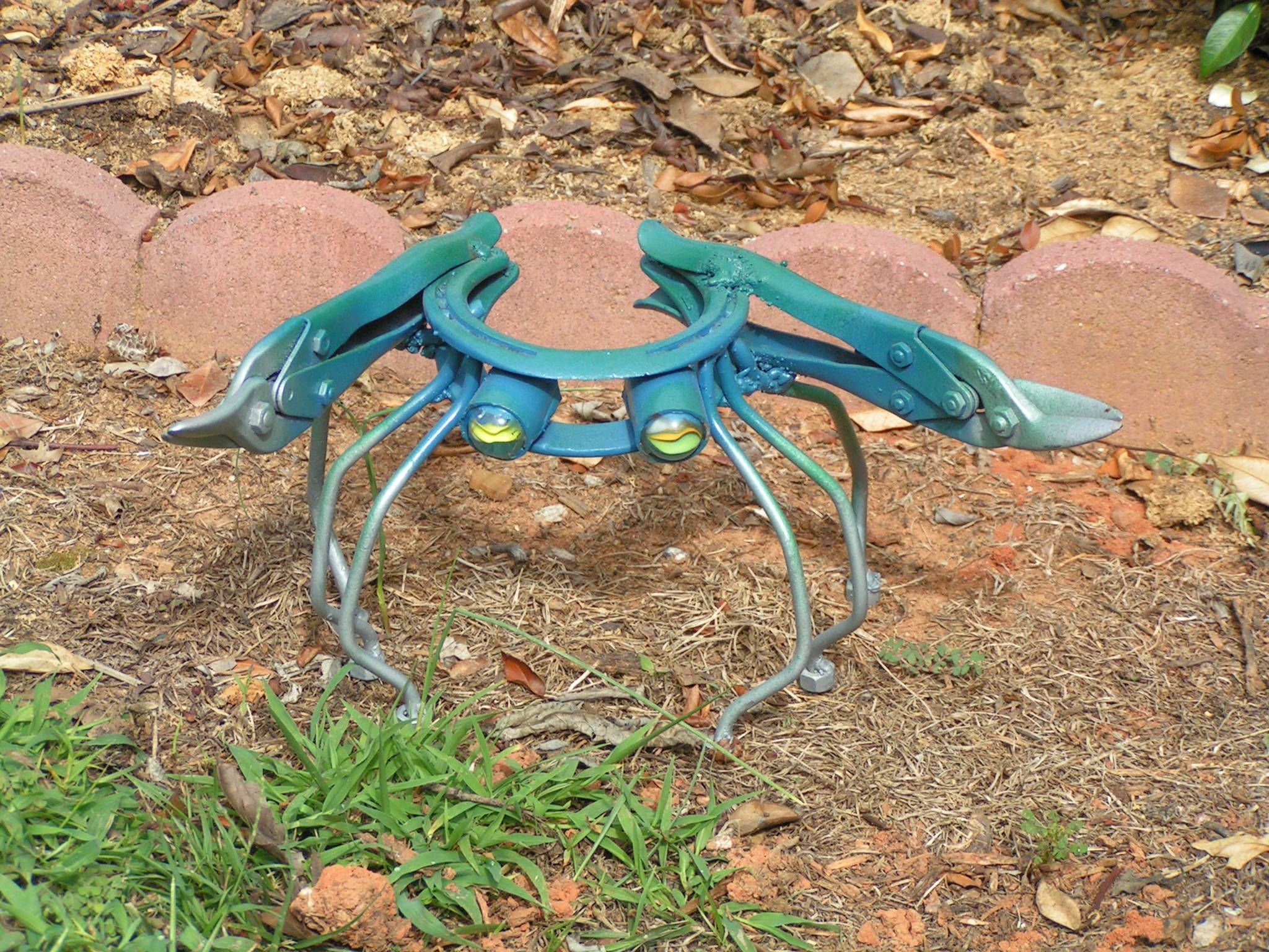 Horseshoe Crab Instructables