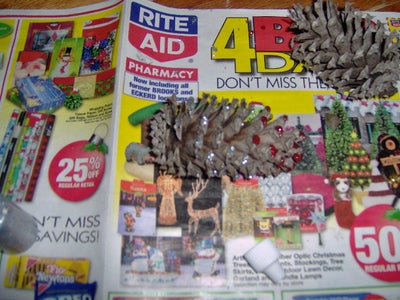 Step 6- Optional Decorating 