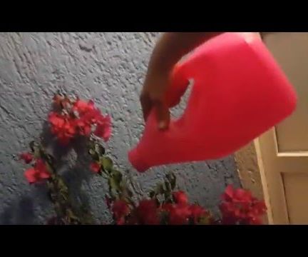 Watering Can From Recycled Bottle DIY