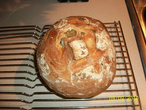 Herbed Green Olive Bread