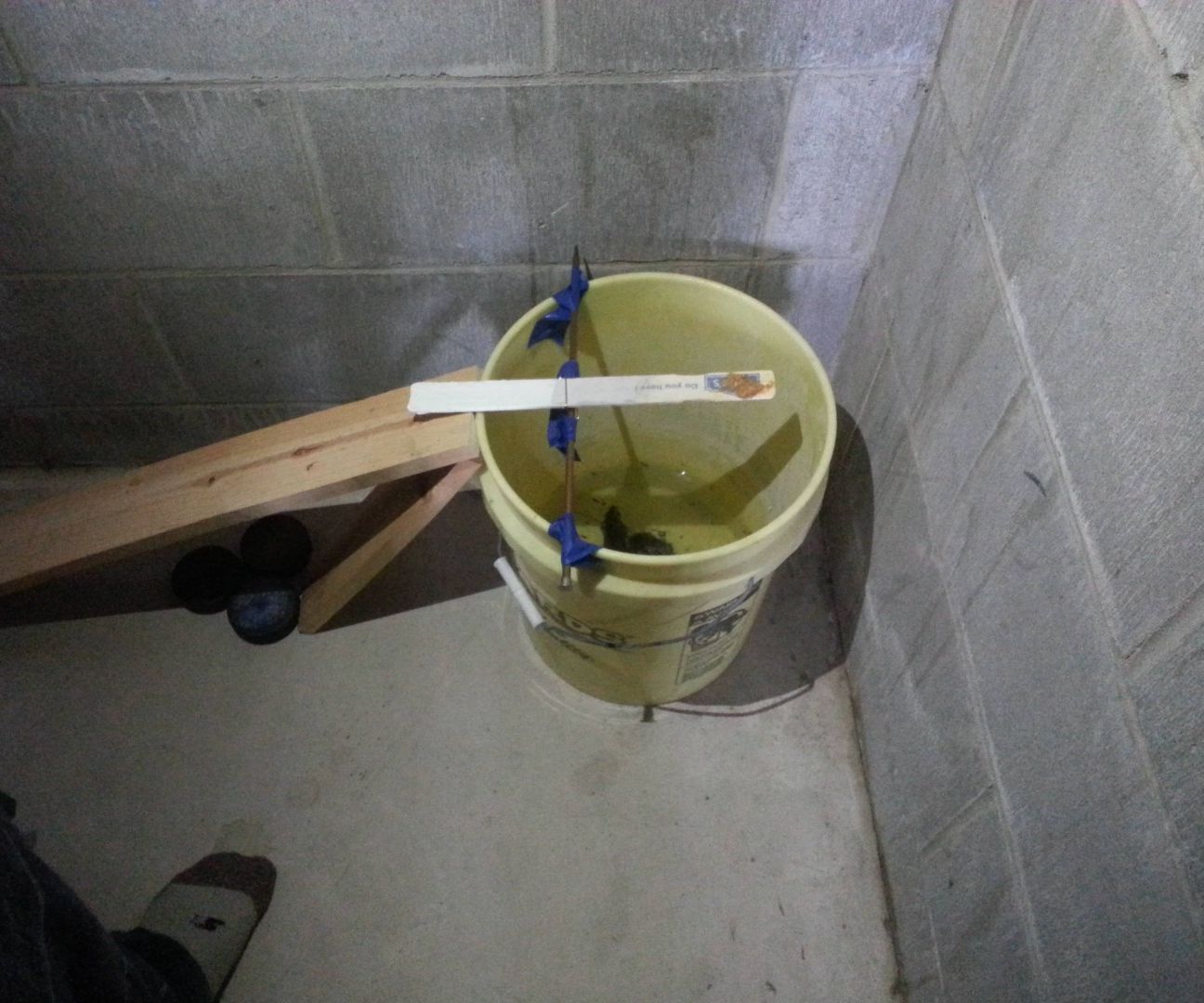 Effective & Humane Mouse Trap