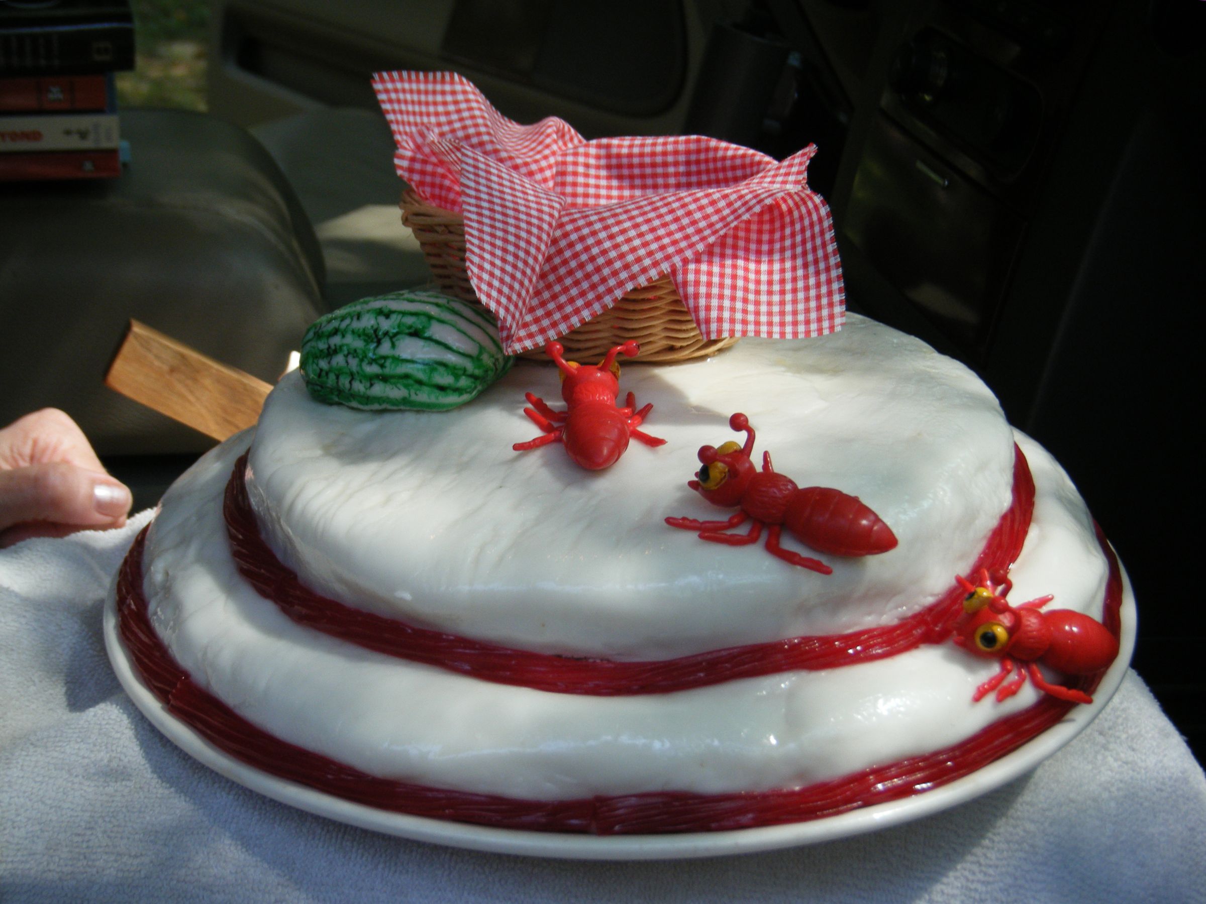 Picnic Cake