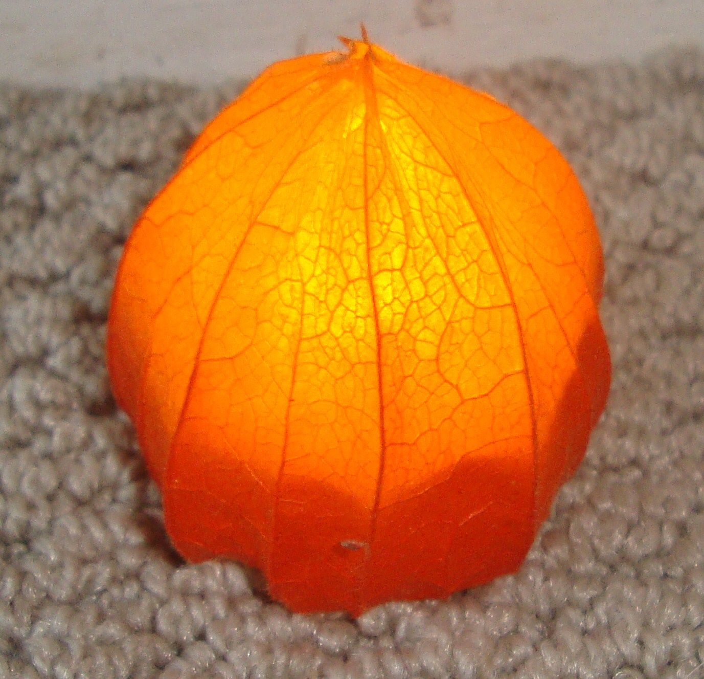 Cheap Elegant Halloween Decoration