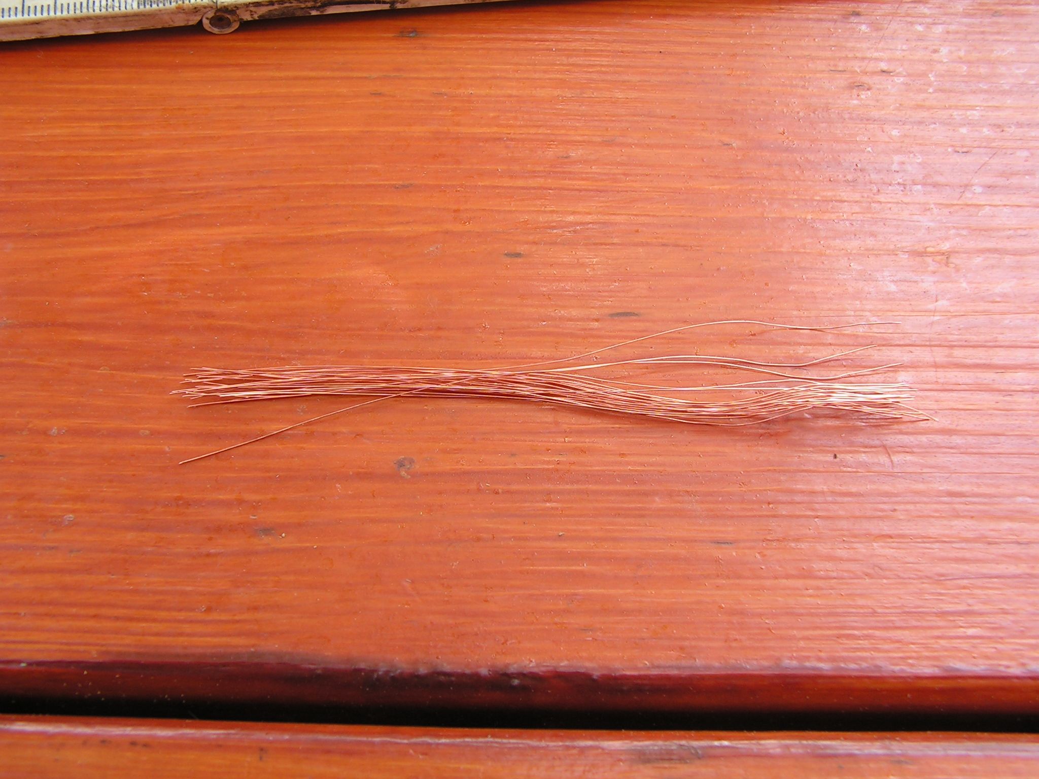 Nrailway Trees (1/160 Scale) 5 Steps (with Pictures) Instructables