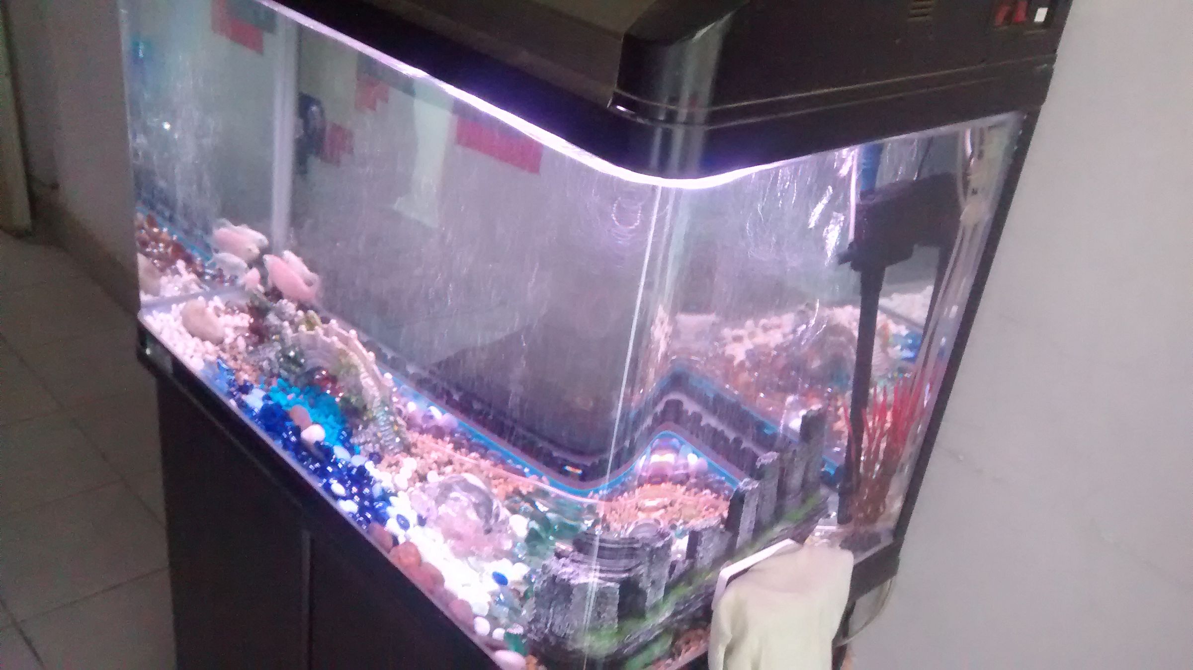 Cheap Aquarium Filter Crystal Clear Water 4 Steps Instructables